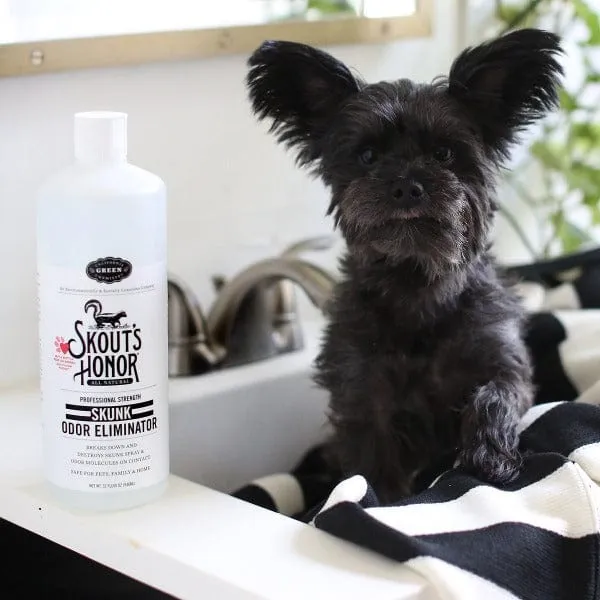 Skout's Honor Skunk Odor Eliminator